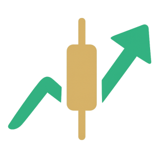 Capital Market Insights